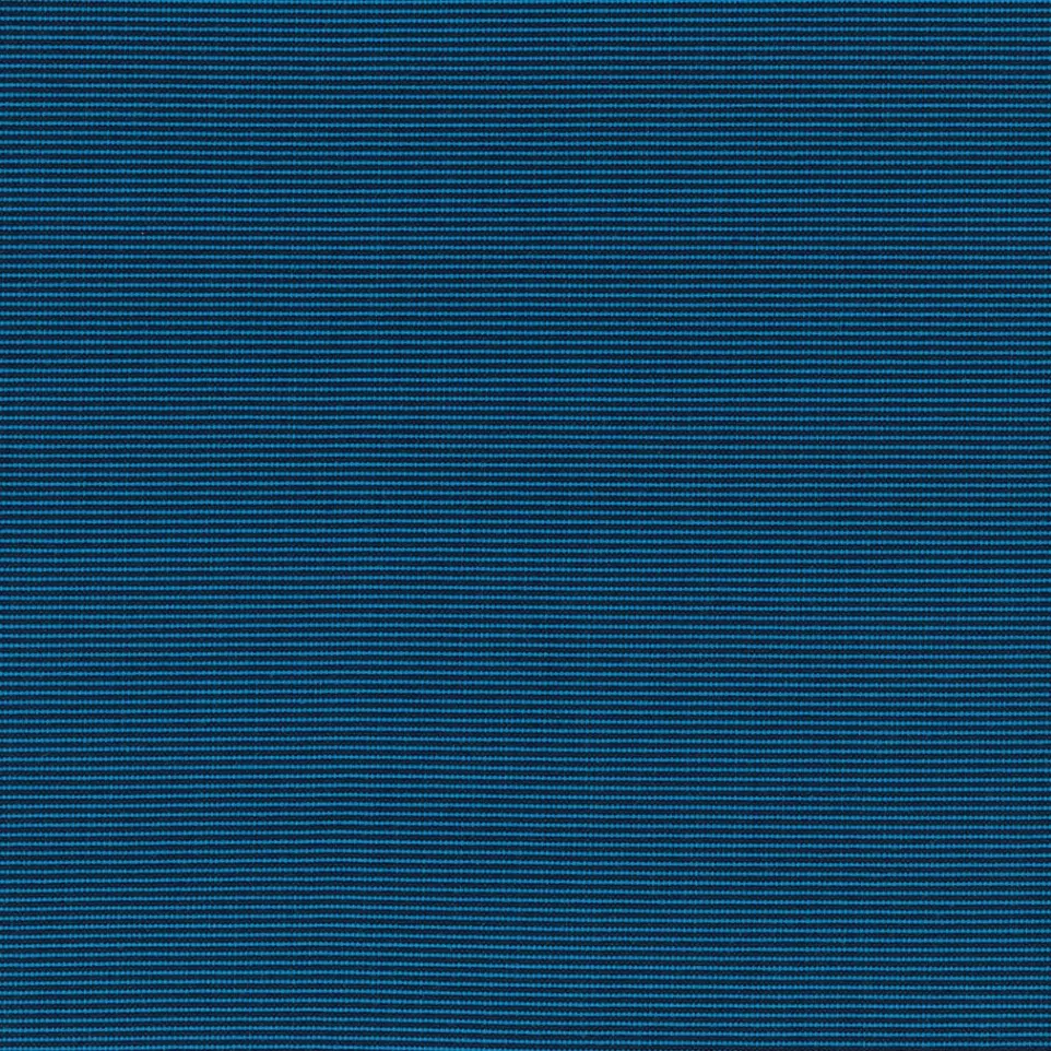 Marine_11