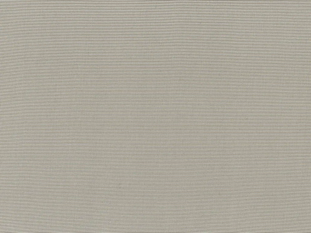 Marine_01G.webp